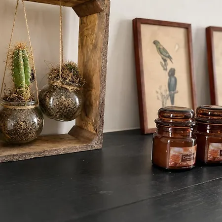 Apartament Chic Vintage In