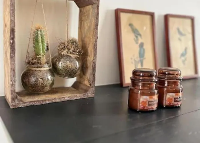 Apartamento Chic Vintage In *